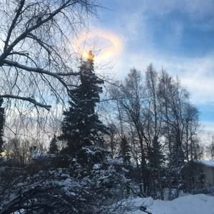 Meet your Posher, Ashlyn